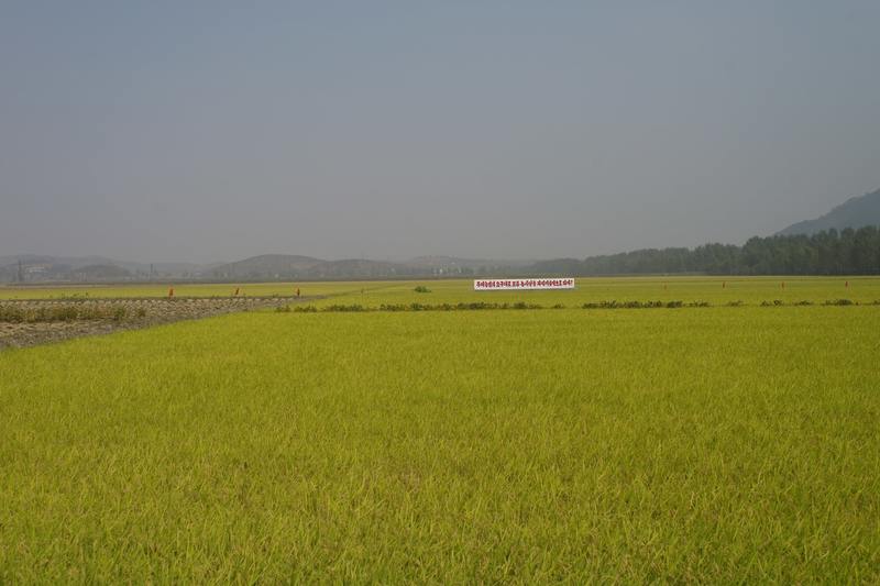 Chongsan-ri Cooperative Farm